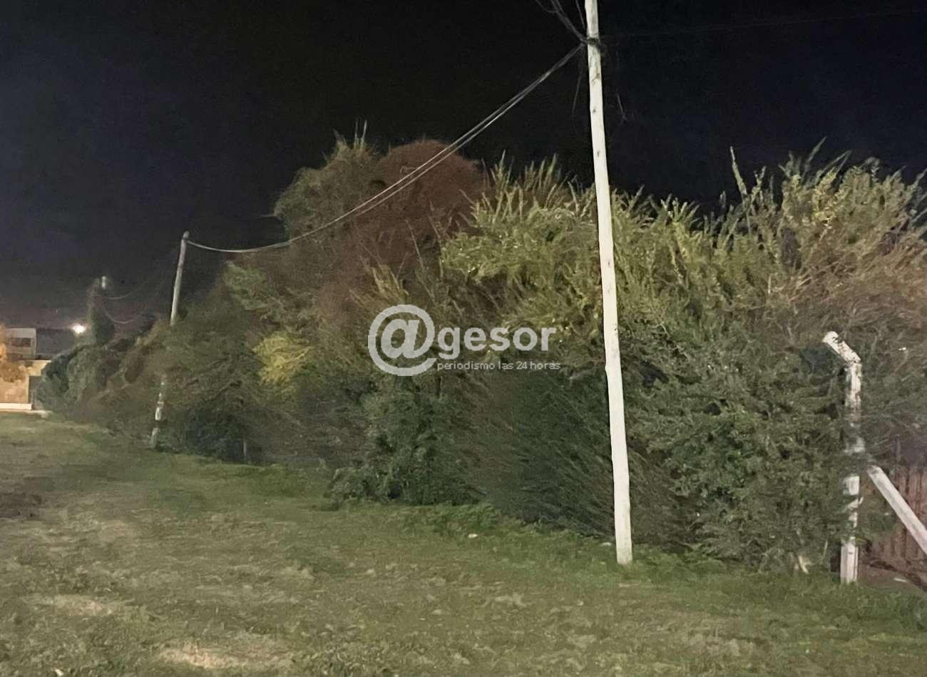 Image2